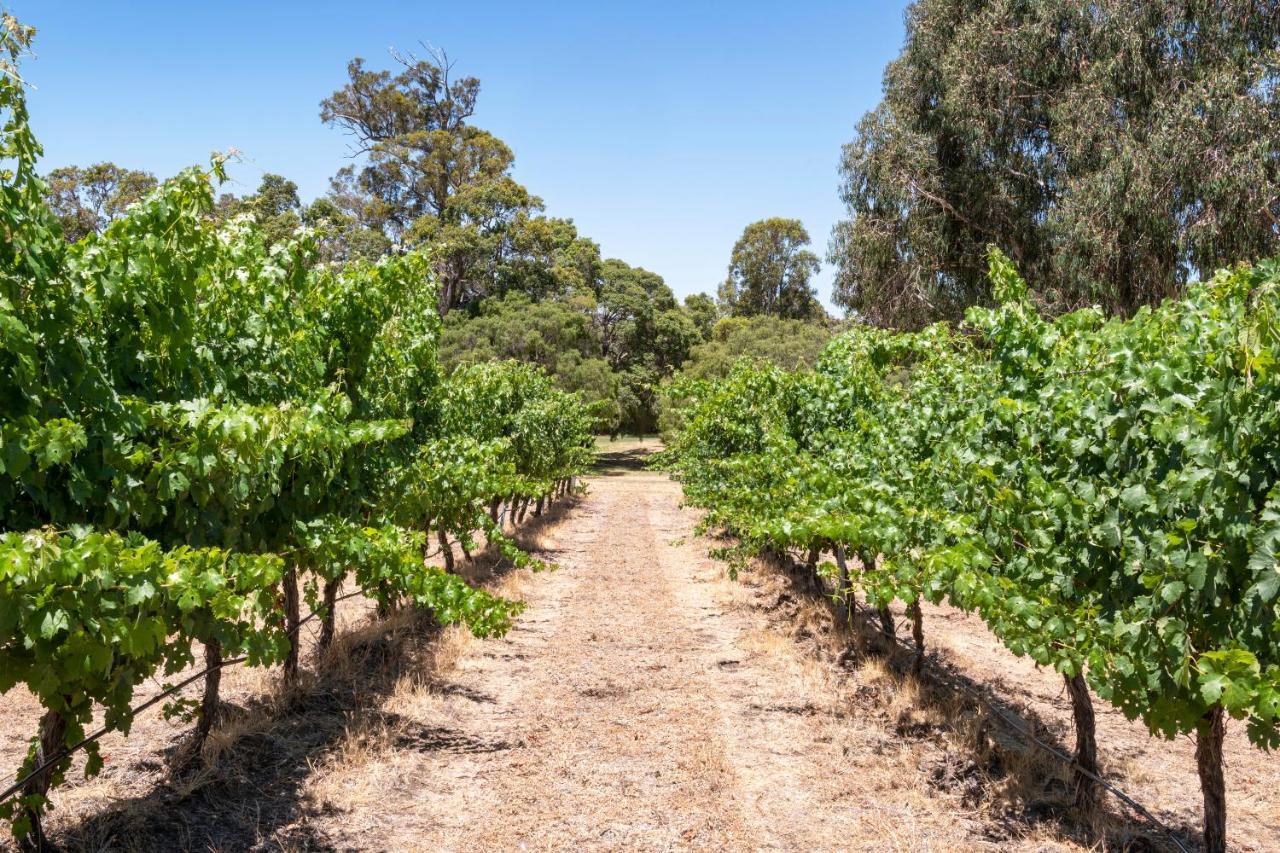 Holiday home Island Brook Estate Vineyard And *